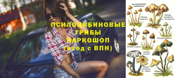 молекула духа Володарск